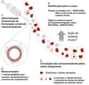 immune system reacts to intravenous carrier administration